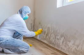 Why You Should Choose Our Mold Remediation Services in Cortez, CO