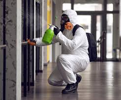 Forensic Mold Investigation